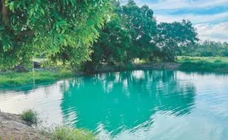 Imagem ilustrativa da imagem Itapemirim além das praias: conheça as atrações turísticas da cidade