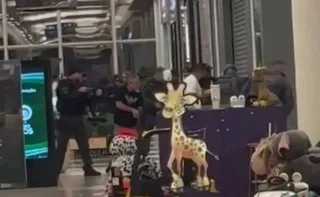 Imagem ilustrativa da imagem Jovem é morta a facadas pelo ex-namorado em shopping de SP