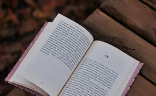 Imagem ilustrativa da imagem Livro defende tratamento de autismo com psicanálise