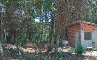 Imagem ilustrativa da imagem Moradores voltam a denunciar invasões na APA de Setiba, em Guarapari