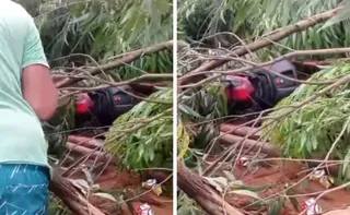 Imagem ilustrativa da imagem Motociclista morre após colidir em árvore que caiu durante temporal em Colatina