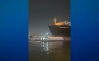 Imagem ilustrativa da imagem Navio atinge balsas no Porto de Santos e tripulantes pulam no mar