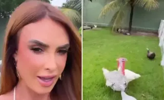 Imagem ilustrativa da imagem Nicole Bahls batiza peru de Juliano Floss e justifica: 'Bonzinho e inteligente'