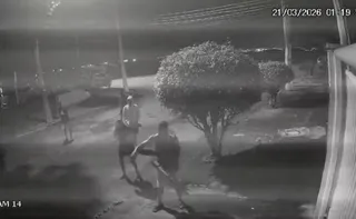 Imagem ilustrativa da imagem Oito homens espancam capivara com pedaços de pau no Rio de Janeiro