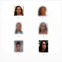 Imagem ilustrativa da imagem Polícia de PE usa fotos de deputadas federais trans em álbum de suspeitos no Recife