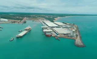 Imagem ilustrativa da imagem Portocel tem maior volume de cargas de sua história