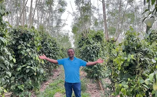 Imagem ilustrativa da imagem Produtores antecipam compra de fertilizante