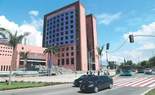 Imagem ilustrativa da imagem Propostas para sepultar cães e gatos junto com donos tramitam na Assembleia