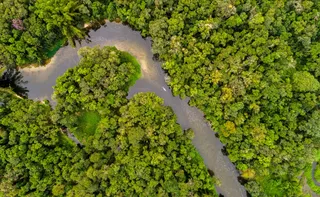 Imagem ilustrativa da imagem Resistir é preciso