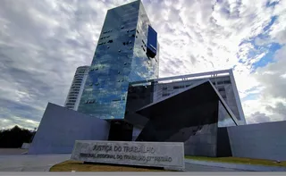 Imagem ilustrativa da imagem TRT condena empresa após acidente com operador atacado por marimbondos