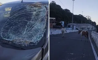 Imagem ilustrativa da imagem VÍDEO | Carro fica destruído após atropelar cavalos na descida da Segunda Ponte