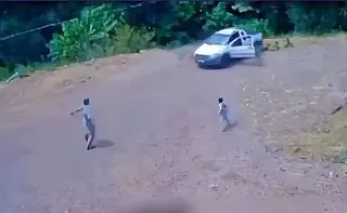 Imagem ilustrativa da imagem VÍDEO | Gêmeos de 6 anos soltam freio de mão e carro cai em ribanceira no Paraná