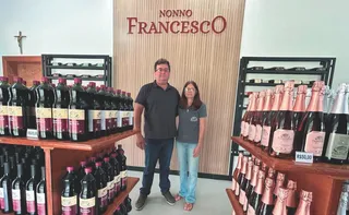 Imagem ilustrativa da imagem Vinícolas e enoturismo: roteiro do vinho movimenta Santa Teresa