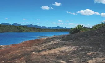 Imagem ilustrativa da imagem Ampliação do Parque Paulo César Vinha pode criar corredor ecológico
