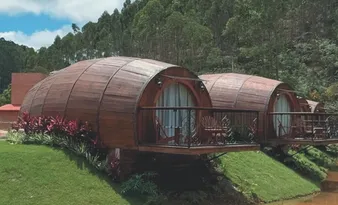 Imagem ilustrativa da imagem Cabana de vidro e chalés diferentes: onde se hospedar em Santa Teresa
