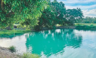 Imagem ilustrativa da imagem Itapemirim além das praias: conheça as atrações turísticas da cidade