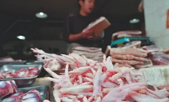 Imagem ilustrativa da imagem Pé de galinha produzido no ES atrai interesse milionário da China