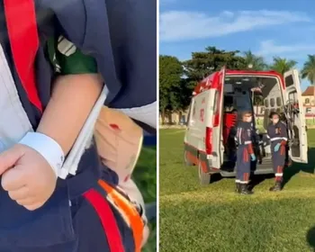 Imagem ilustrativa da imagem Bebê é hospitalizado em estado grave após ser picado por escorpião no ES