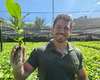 Imagem ilustrativa da imagem Células de papel biodegradável é aposta para melhorar produção de mudas de café