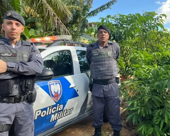 Imagem ilustrativa da imagem Segurança reforçada para evitar roubos em período de colheita do café