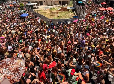 Imagem ilustrativa da imagem Bloco Amigos da Onça comemora 10 anos e agita o Centro de Vitória