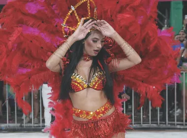 Imagem ilustrativa da imagem Campeã do carnaval capixaba será conhecida hoje