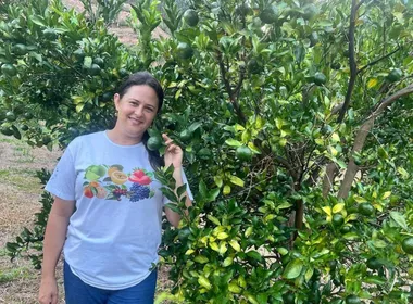 Imagem ilustrativa da imagem Conceição do Castelo: turismo rural cresce com safra de tangerina ponkan