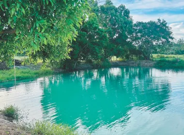 Imagem ilustrativa da imagem Itapemirim além das praias: conheça as atrações turísticas da cidade