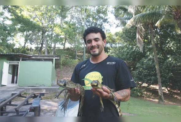 Lucas Yu segura dois jacarés-de-papo-amarelo que foram encontrados na Grande Vitória nos últimos dias