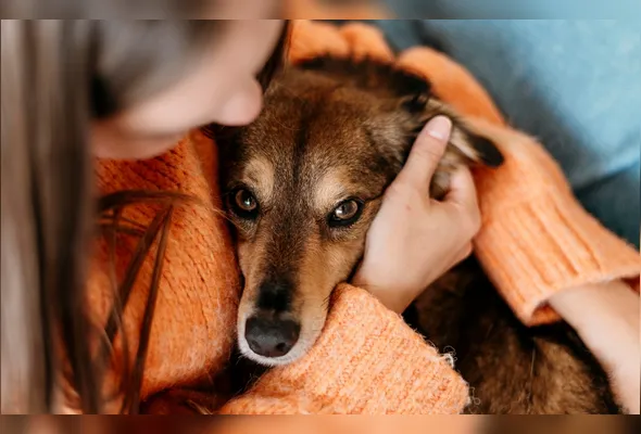 Imagem ilustrativa da imagem A perversão banalizada e o horror dos dias