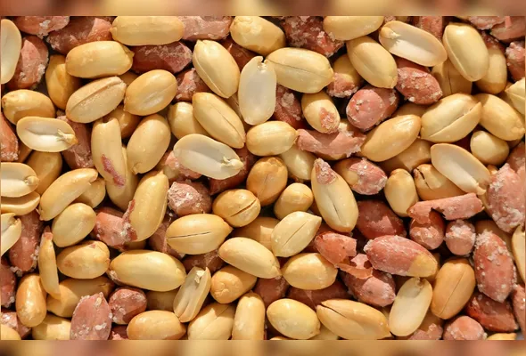 Imagem ilustrativa da imagem Amendoim: vilão ou aliado contra colesterol?