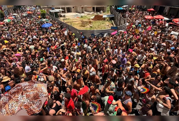 Bloco Amigos da Onça pelas ruas do Centro de Vitória