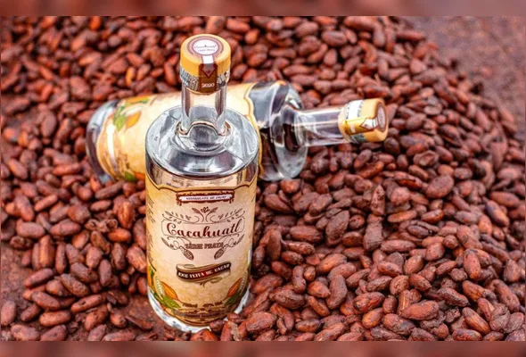 Cachaça feita com partes subaproveitadas do cacau produzido em Linhares é bem recebida pelos asiáticos