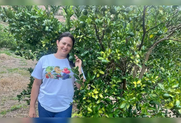 Marilene Davel Dariva, da MD Frutos da Terra, em Conceição do Castelo, transformou o cultivo de tangerina ponkan em turismo de experiência e recebe milhares de visitantes para o “colha e pague” da fruta