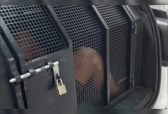 Suspeito foi levado na viatura da Guarda Municipal até a Delegacia Regional de Vitória