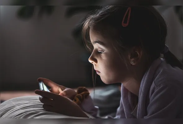 Imagem ilustrativa da imagem ECA Digital entra em vigor e muda a internet para sempre