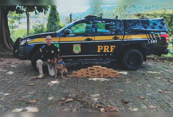 Policial Rodoviário Federal  junto com cão farejador que ajudou a localizar tabletes de maconha em ônibus