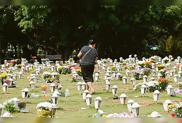 Cemitérios poderão aceitar sepultamento de animais de pequeno porte, com o cumprimento de exigências