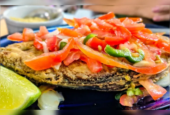 Sarda Cavala, do Bar do Chico o Rei da Sarda, é um dos pratos autorais que estará presente no evento