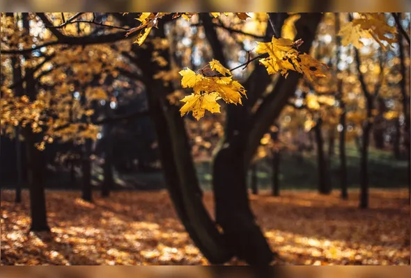 Outono começa com calor e menos chuva no ES