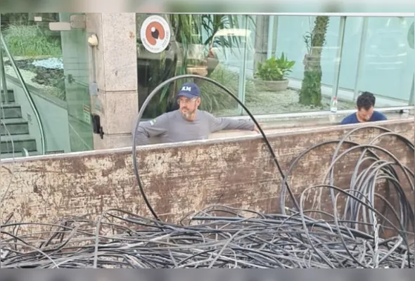 Mais de 800 quilos de cabos inutilizados foram retirados neste domingo (15).