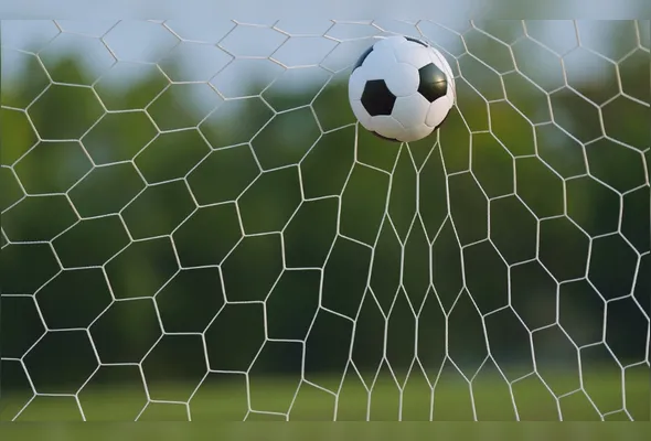 Imagem ilustrativa da imagem Minhas impressões