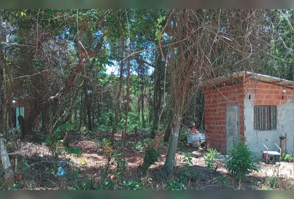 Construção irregular no Parque Estadual Paulo César Vinha: moradores estão preocupados com situação