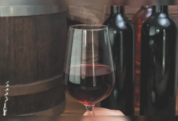 Imagem ilustrativa da imagem O vinho pode caber em uma rotina saudável?