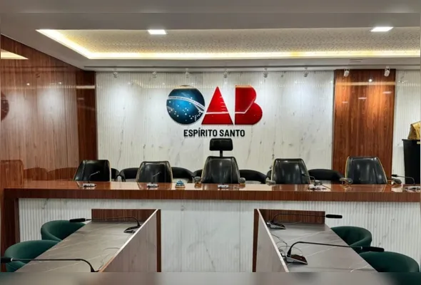 OAB-ES reforçou que advogados possuem natureza diferente das sociedades empresariais tradicionais