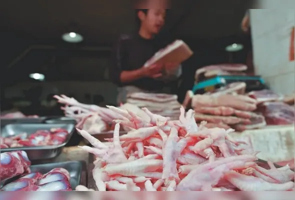 Pés de galinha, pelos quais chineses pagam perto de R$ 18 mil a tonelada