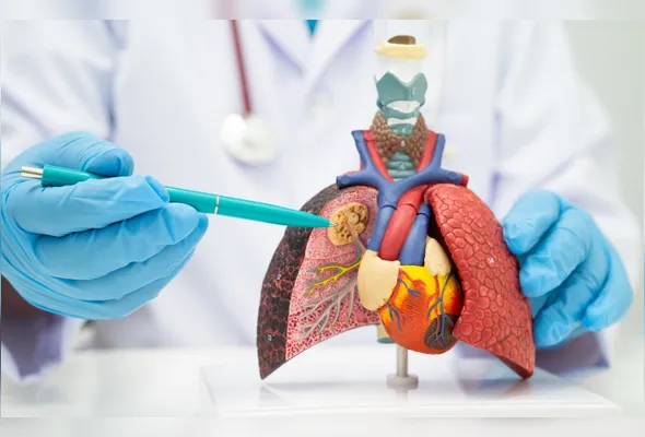 Imagem ilustrativa da imagem Pneumonia já provocou 190 mortes e 1.200 internações este ano no ES