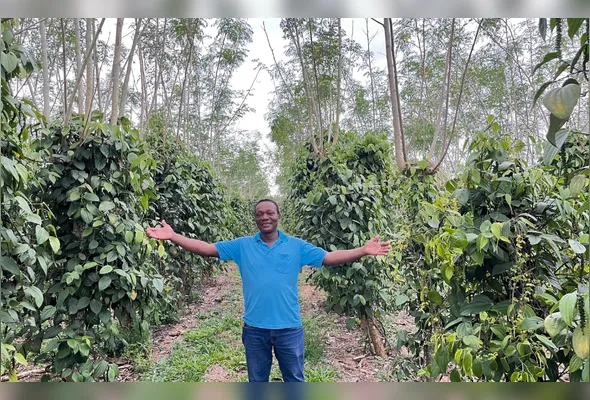 José de Melo decidiu antecipar a compra de adubos e buscar novos mercados para a próxima safra