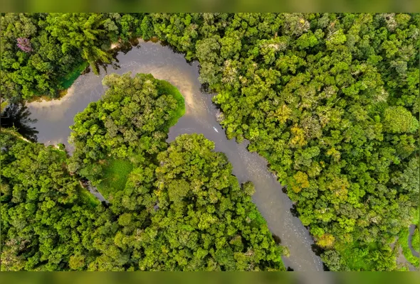 Imagem ilustrativa da imagem Resistir é preciso