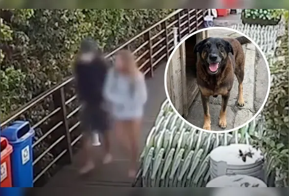 Imagens de câmeras de segurança foram usadas para embasar investigação da Polícia Civil